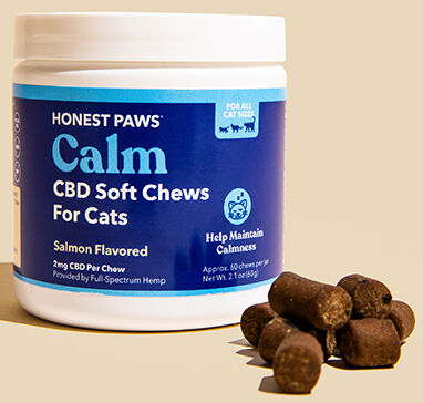 PR9 Honest Paws.jpg
